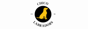 Chico Labradors Logo